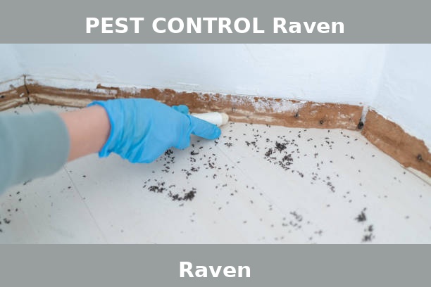PEST CONTROL Raven